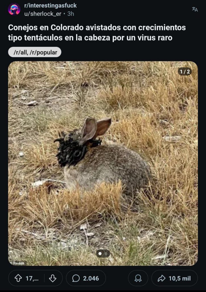 semilla de aventura para la llamada de cthulhu